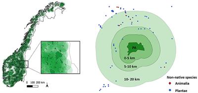 Non-native Species Surrounding Protected Areas Influence the Community of Non-native Species Within Them